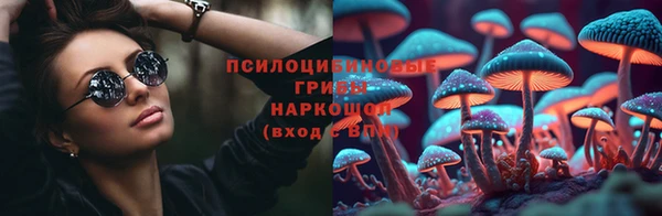 шишки Волоколамск