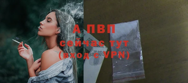 шишки Волоколамск