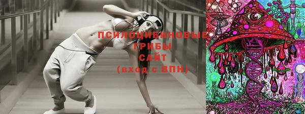 спиды Володарск